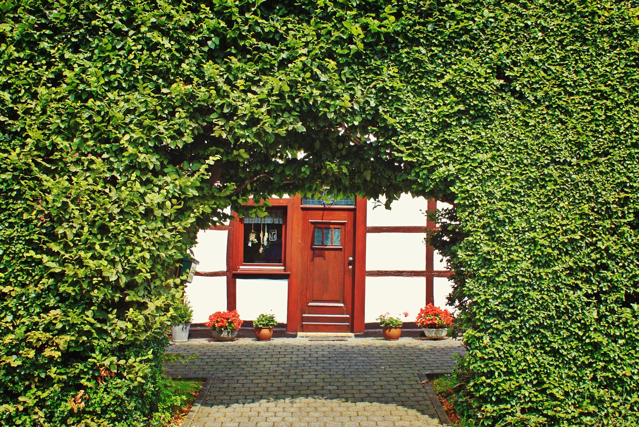 hedge, beech hedge, half-timbered house-1173388.jpg